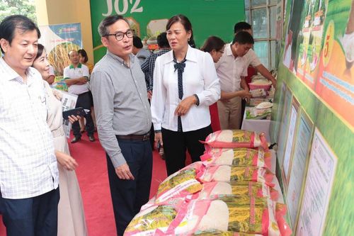 Xây dựng thương hiệu gạo Hà Nội