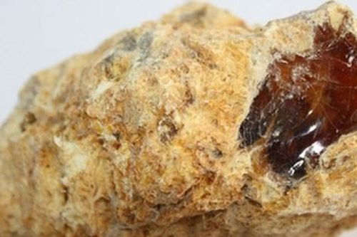 Nhặt được cục đá bên bờ biển, cậu bé không ngờ đây là kho báu giúp gia đình đổi đời