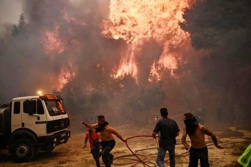 Cơn giận bùng lên khi những 'lá phổi' của Hy Lạp bị thiêu đốt