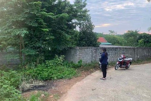 Tìm thấy thi thể người phụ nữ trong bụi rậm sau khi mất tích