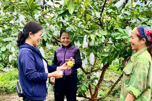 Giúp người dân phát triển kinh tế