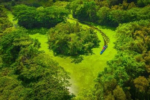 Miền Tây - tình đất, tình người
