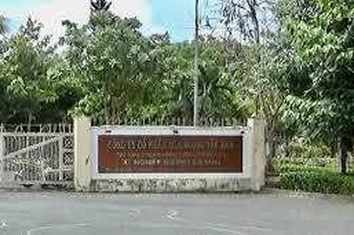 Cà Mau thu hồi gần 40 ha đất từ Công ty CP mía đường Tây Nam