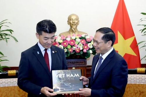 Bộ trưởng Ngoại giao Bùi Thanh Sơn tiếp Chủ tịch Đảng Dân chủ lập hiến Nhật Bản