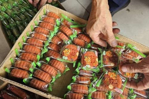 Tiếp tục phát hiện thực phẩm lậu tại 'thủ phủ' bánh kẹo nhái La Phù