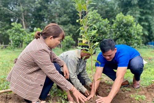 Kon Tum phủ xanh đồi núi trong chiến dịch Mùa hè xanh 2023