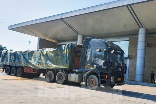 Xe chở cá tầm không phép 'mắc kẹt', bốc mùi hôi thối ở cửa khẩu Lào Cai