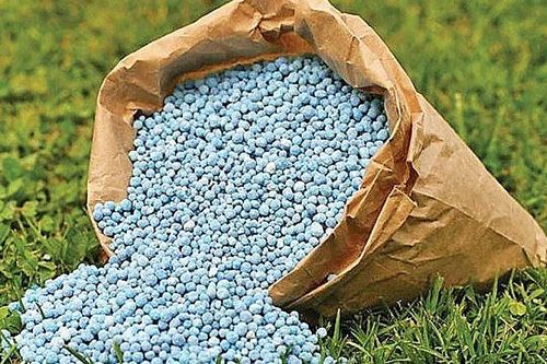 Giá phân bón hôm nay 31/8: Giao dịch nội địa ở mức thấp
