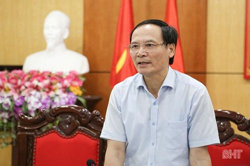 Hà Tĩnh phấn đấu diện tích gieo trồng vụ đông 2023 đạt gần 11.900 ha