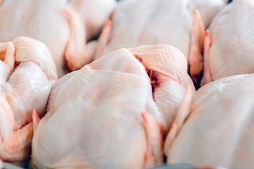 Thịt gà có thể gây đợt bùng phát nhiễm khuẩn salmonella ở châu Âu