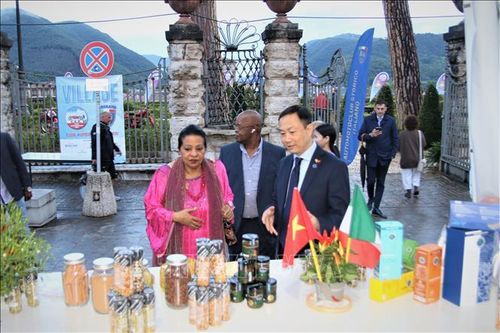 50 năm quan hệ Việt Nam - Italy: Tiềm năng thúc đẩy hợp tác nông nghiệp giữa hai nước