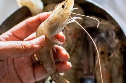 Vô tình phát hiện mắc ung thư sau khi bị râu tôm chọc vào ngón tay