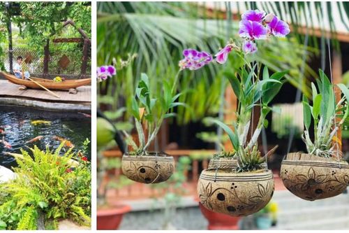 Biệt phủ của đại gia Vĩnh Long làm từ 4.000 cây dừa, hồ cá Koi cũng trang trí từ gỗ dừa, độc lạ nhất miền Tây