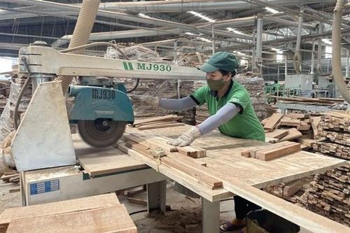 Vietnam Report khuyến nghị lựa chọn chiến lược kinh doanh