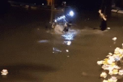 'Hỗn chiến' khi thả cá phóng sinh gần chùa: Đoạn clip gây xôn xao