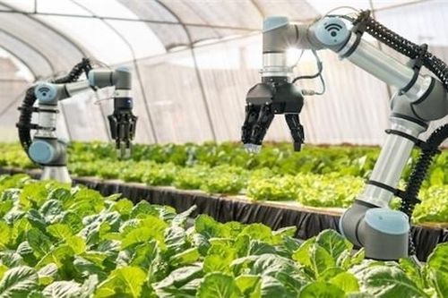 2 yếu tố doanh nghiệp cần có nếu muốn phát triển xanh