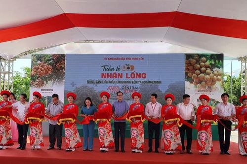 Tuần lễ Nhãn lồng - Nông sản tiêu biểu Hưng Yên tại Quảng Ninh năm 2023