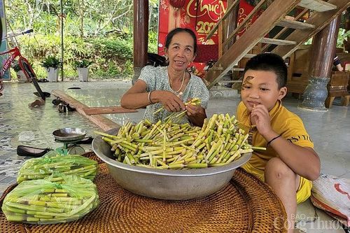 Người dân miền núi Nghệ An vào rừng hái 'lộc trời', chế biến thành đặc sản