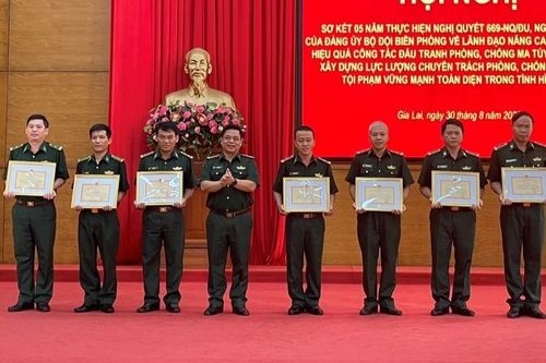 Gia Lai: Phát hiện, bắt giữ 1.223 đối tượng vi phạm pháp luật trên khu vực biên giới