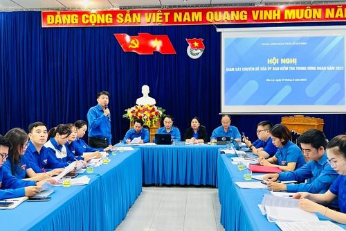 Ủy ban Kiểm tra Trung ương Đoàn giám sát chuyên đề đối với Tỉnh Đoàn Gia Lai