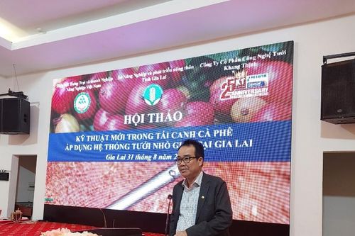 Hội thảo tưới nước nhỏ giọt trên cây cà phê