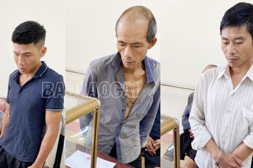 Công an thành phố Lào Cai liên tiếp bắt giữ nhiều đối tượng phạm tội về ma túy