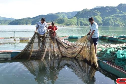 Đảng bộ xã Chiềng Lao học và làm theo Bác