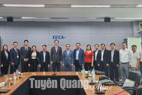 Đề nghị KOICA tiếp tục triển khai các dự án tại Tuyên Quang