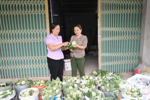 Hỗ trợ phụ nữ vùng cao phát triển kinh tế