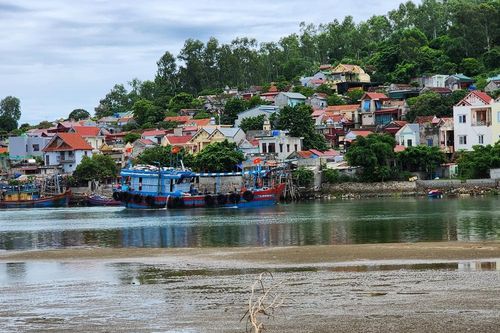 Thanh Hóa: Tìm giải pháp cho cảng cá Lạch Bạng