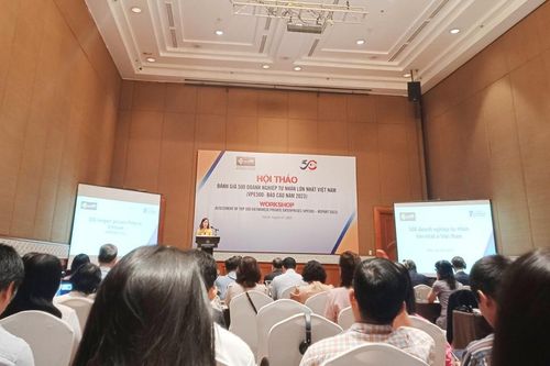Ngân hàng, bảo hiểm vẫn giữ được vị trí trong bảng xếp hạng 500 doanh nghiệp tư nhân lớn nhất Việt Nam - VPE500