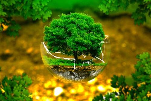 Việt Nam hiện đang vận hành chính sách nào về phát triển nông nghiệp bền vững?