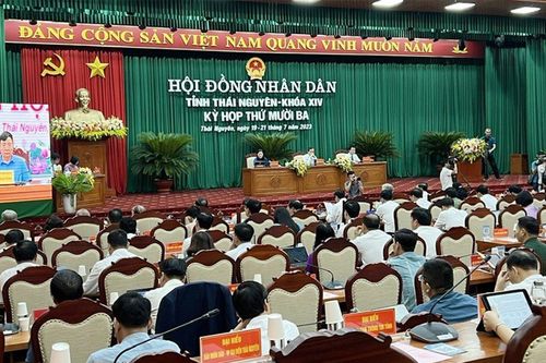 Minh chứng sinh động cho nội dung thảo luận, chất vấn