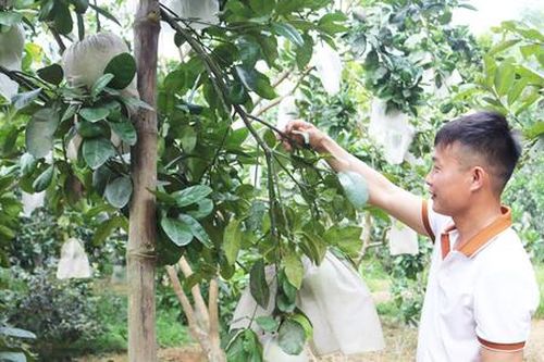 Niềm vui ở Đồng Hỷ khi có thêm nhiều 'tỷ phú nông dân'