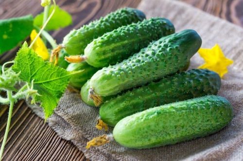 Dưa chuột bị đắng có độc không?