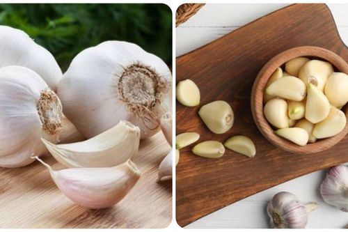 Tỏi tốt cho sức khỏe nhưng 'đại kỵ' với 5 nhóm người này