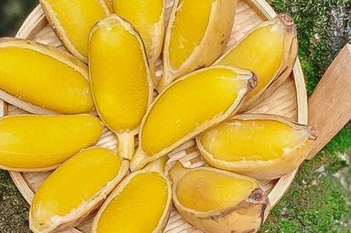 Chuối sáp Bến Tre