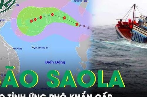Bão Saola giật cấp 17 đi vào Biển Đông, sóng biển cao 4-6m, các địa phương khẩn trương ứng phó