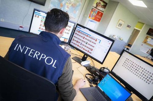 Hé lộ chiến dịch Narsil phá vỡ các trang web lạm dụng trẻ em