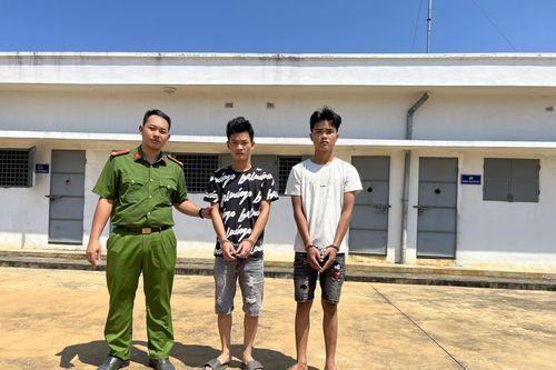 Bắt 2 đối tượng gây 6 vụ cướp giật tài sản