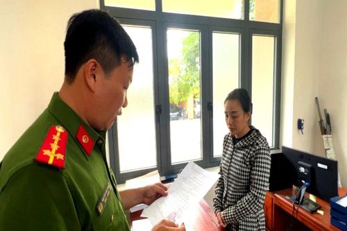Gạ gẫm 'lướt sóng' đất, người phụ nữ chiếm đoạt hơn 4,7 tỉ đồng