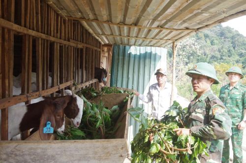 Khẳng định niềm tin yêu của nhân dân biên giới (bài 2)