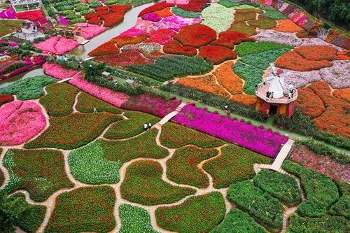Thung lũng hoa Hồ Tây - 'Đà Lạt trong lòng Hà Nội'