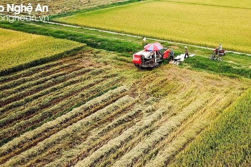 Thực hiện tốt các định hướng, mục tiêu về Nông nghiệp và Phát triển nông thôn