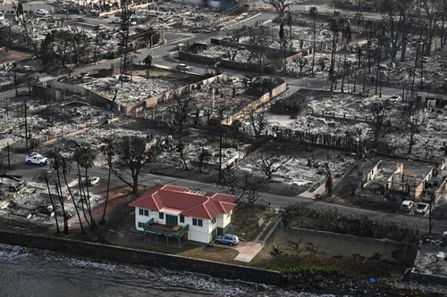 Bài học từ 'Ngôi nhà Thần kỳ' sống sót giữa cảnh hủy diệt bởi cháy rừng Hawaii