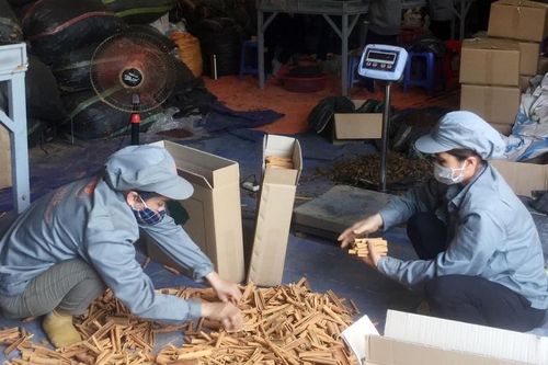 Lấp khoảng trống chính sách cho hợp tác xã