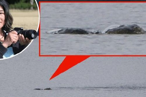 'Thợ săn' quái vật hồ Loch Ness công bố bức ảnh thủy quái huyền thoại?