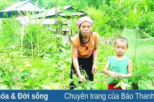 Học sinh nghèo và năm học mới