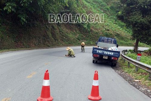 Hoàn thành việc phát quang và bảo dưỡng Quốc lộ 4D đoạn thành phố Lào Cai - Sa Pa