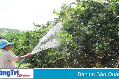 Hiệu quả từ các chương trình, dự án và mô hình sản xuất ở Hải Lăng